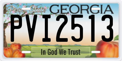 GA license plate PVI2513
