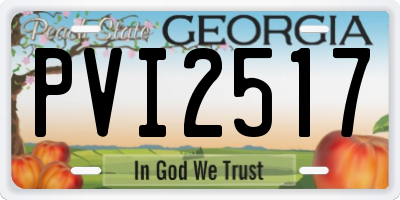 GA license plate PVI2517