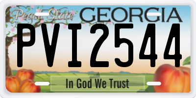 GA license plate PVI2544