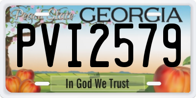 GA license plate PVI2579