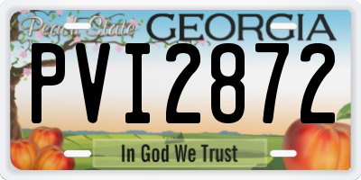 GA license plate PVI2872