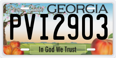 GA license plate PVI2903