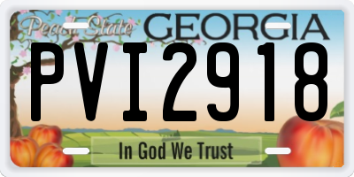 GA license plate PVI2918