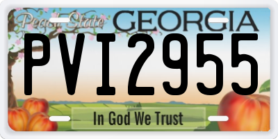 GA license plate PVI2955