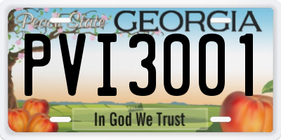 GA license plate PVI3001