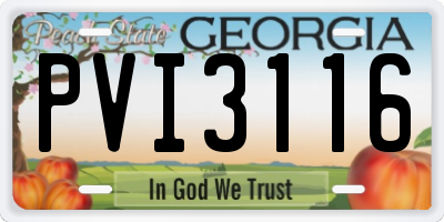 GA license plate PVI3116