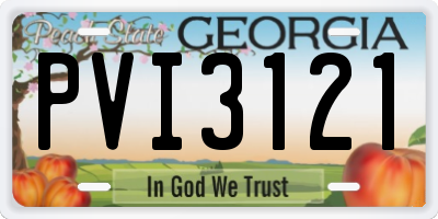 GA license plate PVI3121