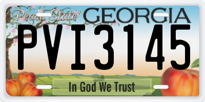GA license plate PVI3145