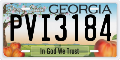 GA license plate PVI3184
