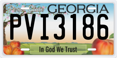 GA license plate PVI3186