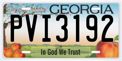 GA license plate PVI3192