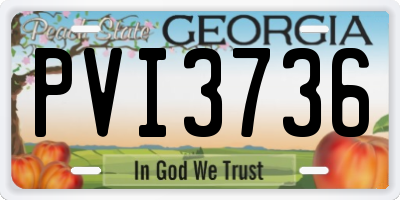 GA license plate PVI3736