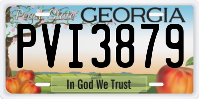 GA license plate PVI3879