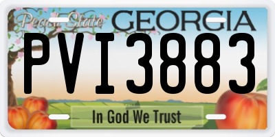 GA license plate PVI3883