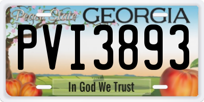 GA license plate PVI3893