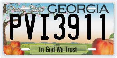 GA license plate PVI3911