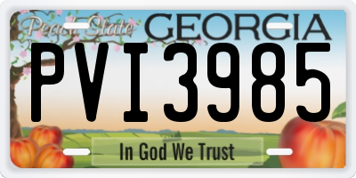 GA license plate PVI3985