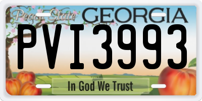 GA license plate PVI3993