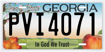 GA license plate PVI4071
