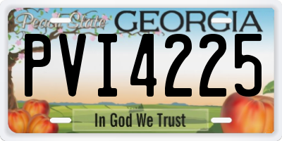 GA license plate PVI4225