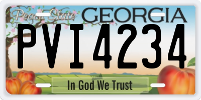 GA license plate PVI4234