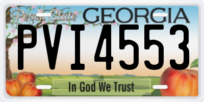 GA license plate PVI4553