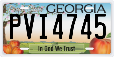 GA license plate PVI4745