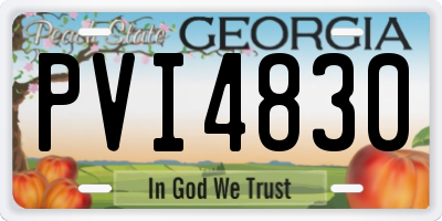 GA license plate PVI4830