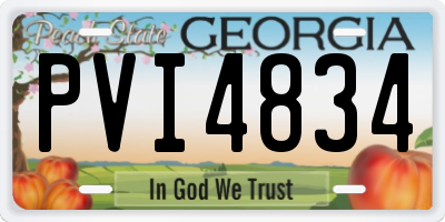 GA license plate PVI4834