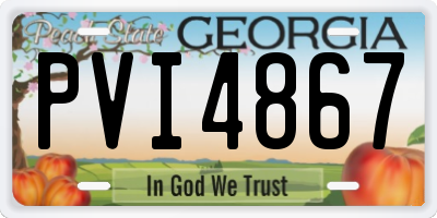 GA license plate PVI4867