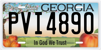 GA license plate PVI4890