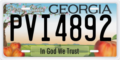 GA license plate PVI4892