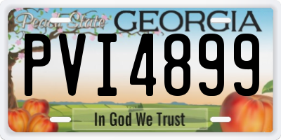 GA license plate PVI4899
