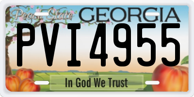 GA license plate PVI4955