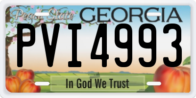 GA license plate PVI4993