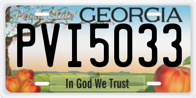 GA license plate PVI5033
