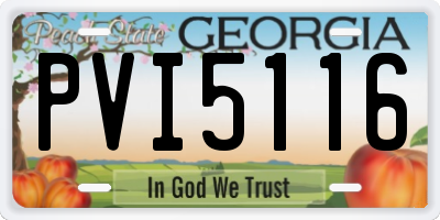 GA license plate PVI5116