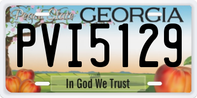GA license plate PVI5129