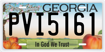 GA license plate PVI5161