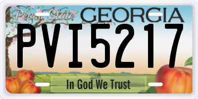 GA license plate PVI5217