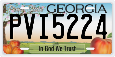 GA license plate PVI5224