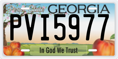 GA license plate PVI5977