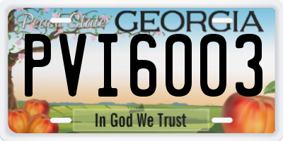 GA license plate PVI6003