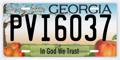 GA license plate PVI6037