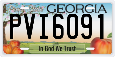 GA license plate PVI6091