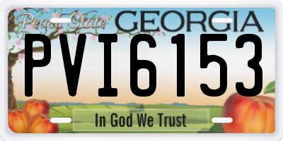 GA license plate PVI6153