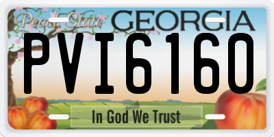 GA license plate PVI6160