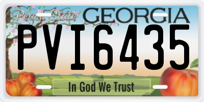 GA license plate PVI6435