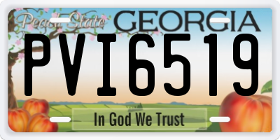 GA license plate PVI6519