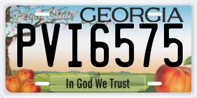GA license plate PVI6575